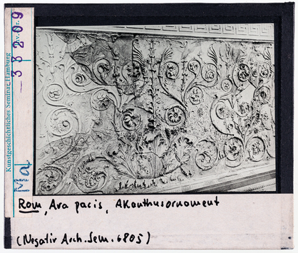 Vorschaubild Rom: Ara Pacis, Akanthusornament 